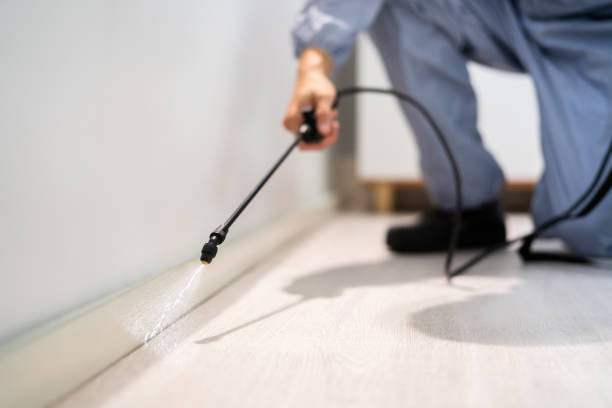 Licensed Fumigation Services service in Fairfax, VA - Nex Pest Control