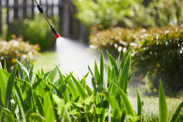 24/7 Emergency Fumigation Services experts in Fairfax, VA