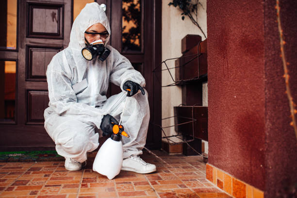 Reliable Fumigation Services contractor in Fairfax, VA by Nex Pest Control