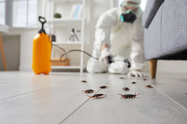 Trusted Fumigation Services service in Fairfax, VA - Nex Pest Control