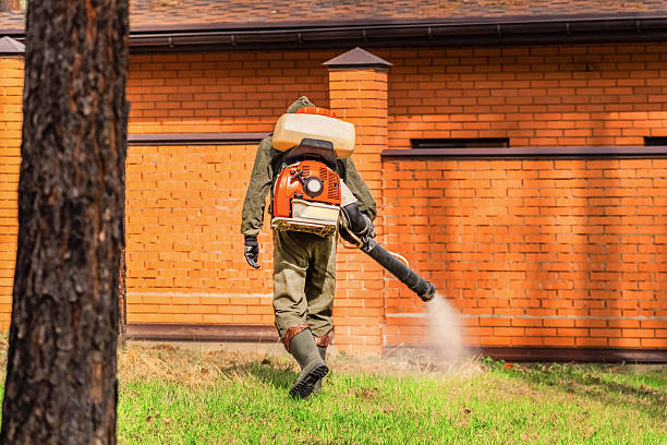 Trusted Bed Bug Control service in Fairfax, VA - Nex Pest Control